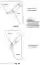 Fig. 10 - 3D DATA GENERATION FOR PROSTHETIC CROWN PREPARATION OF TOOTH