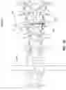 Fig. 23 - EXPANDABLE INTERBODY FUSION DEVICE FOR USE WITH POSTERIOR TO LATERAL APPROACH