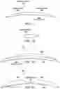 Fig. 06 - SYSTEMS AND METHODS FOR CREATING A LENTICULE FOR PRESBYOPIA