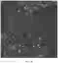 Fig. 03 - SURFACE-MODIFIED DOPED TITANIUM DIOXIDE NANOPARTICLES AND USES