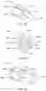 Fig. 24 - Intranasal delivery of olanzapine by precision olfactory device