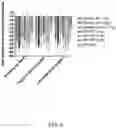 Fig. 31 - Intranasal delivery of olanzapine by precision olfactory device