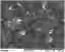 Fig. 01 - POWDER FORMULATION FOR INTRANASAL ADMINISTRATION, AND MANUFACTURING METHOD THEREOF