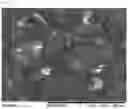 Fig. 02 - POWDER FORMULATION FOR INTRANASAL ADMINISTRATION, AND MANUFACTURING METHOD THEREOF