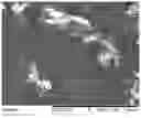 Fig. 05 - POWDER FORMULATION FOR INTRANASAL ADMINISTRATION, AND MANUFACTURING METHOD THEREOF