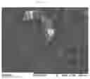 Fig. 07 - POWDER FORMULATION FOR INTRANASAL ADMINISTRATION, AND MANUFACTURING METHOD THEREOF