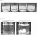 Fig. 02 - COMPOSITIONS OF DISPERSED PHASE FOR PREPARATION OF APIXABAN-LOADED MICROSPHERES AND BIOCOMPATIBLE POLYMER-BASED APIXABAN-LOADED MICROSPHERES PREPARED THEREFROM