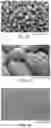 Fig. 08 - CONTROLLED RELEASE GRANULATIONS OF WATER-SOLUBLE ACTIVE PHARMACEUTICAL INGREDIENTS