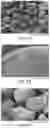 Fig. 13 - CONTROLLED RELEASE GRANULATIONS OF WATER-SOLUBLE ACTIVE PHARMACEUTICAL INGREDIENTS