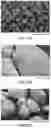Fig. 14 - CONTROLLED RELEASE GRANULATIONS OF WATER-SOLUBLE ACTIVE PHARMACEUTICAL INGREDIENTS
