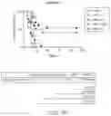 Fig. 26 - CARRIER-BINDING AGENT COMPOSITIONS AND METHODS OF MAKING AND USING THE SAME