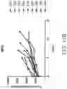 Fig. 40 - CARRIER-BINDING AGENT COMPOSITIONS AND METHODS OF MAKING AND USING THE SAME