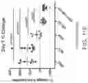 Fig. 44 - CARRIER-BINDING AGENT COMPOSITIONS AND METHODS OF MAKING AND USING THE SAME