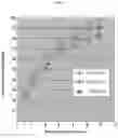 Fig. 02 - Extended release pharmaceutical formulation