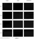 Fig. 13 - A DELIVERY SYSTEM COMPRISING SILICON-CONTAINING MATERIAL