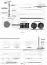 Fig. 02 - PEPTIDE-FUNCTIONALIZED BIODEGRADABLE POLYMERS FOR EFFICIENT DELIVERY OF VARIOUS RNAS