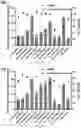 Fig. 08 - PEPTIDE-FUNCTIONALIZED BIODEGRADABLE POLYMERS FOR EFFICIENT DELIVERY OF VARIOUS RNAS