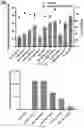 Fig. 09 - PEPTIDE-FUNCTIONALIZED BIODEGRADABLE POLYMERS FOR EFFICIENT DELIVERY OF VARIOUS RNAS