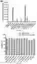 Fig. 11 - PEPTIDE-FUNCTIONALIZED BIODEGRADABLE POLYMERS FOR EFFICIENT DELIVERY OF VARIOUS RNAS