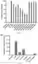 Fig. 13 - PEPTIDE-FUNCTIONALIZED BIODEGRADABLE POLYMERS FOR EFFICIENT DELIVERY OF VARIOUS RNAS