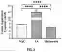 Fig. 03 - DELIVERY DEVICES FOR LOCALIZED DELIVERY OF ANTIMICROBIAL, ANTI-INFLAMMATORY, AND ANTIOXIDANT AGENTS