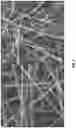 Fig. 06 - DELIVERY DEVICES FOR LOCALIZED DELIVERY OF ANTIMICROBIAL, ANTI-INFLAMMATORY, AND ANTIOXIDANT AGENTS