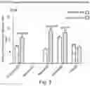 Fig. 04 - USE OF CANNABIDIOL IN COMBINATION WITH ANTIBIOTICS