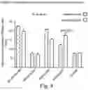 Fig. 05 - USE OF CANNABIDIOL IN COMBINATION WITH ANTIBIOTICS