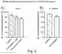 Fig. 06 - USE OF CANNABIDIOL IN COMBINATION WITH ANTIBIOTICS