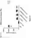 Fig. 41 - Formulations of Cannabidiol Derivatives and Their Use as Modulators of Cannabinoid Receptor Type 2 (CB2)
