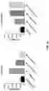 Fig. 02 - Ionic channel modulation as a method for treating tumors through inflammasome activation