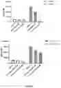 Fig. 04 - Ionic channel modulation as a method for treating tumors through inflammasome activation