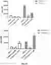 Fig. 05 - Ionic channel modulation as a method for treating tumors through inflammasome activation