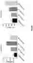 Fig. 07 - Ionic channel modulation as a method for treating tumors through inflammasome activation