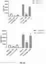 Fig. 09 - Ionic channel modulation as a method for treating tumors through inflammasome activation