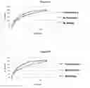 Fig. 02 - FORMULATIONS