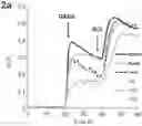 Fig. 01 - MODULATORS OF INTRACELLULAR CHLORIDE CONCENTRATION