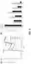 Fig. 03 - MODULATORS OF INTRACELLULAR CHLORIDE CONCENTRATION
