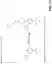 Fig. 12 - MODULATORS OF INTRACELLULAR CHLORIDE CONCENTRATION