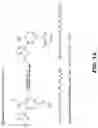 Fig. 13 - MODULATORS OF INTRACELLULAR CHLORIDE CONCENTRATION