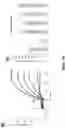 Fig. 18 - MODULATORS OF INTRACELLULAR CHLORIDE CONCENTRATION