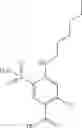 Fig. 23 - MODULATORS OF INTRACELLULAR CHLORIDE CONCENTRATION