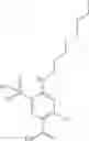Fig. 24 - MODULATORS OF INTRACELLULAR CHLORIDE CONCENTRATION