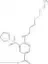 Fig. 48 - MODULATORS OF INTRACELLULAR CHLORIDE CONCENTRATION