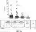 Fig. 07 - Prevention and treatment of diabetic nephropathy