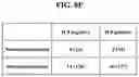Fig. 10 - Prevention and treatment of diabetic nephropathy