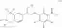 Fig. 21 - Receptor subtype and function selective retinoid and rexinoid compounds in combination with immune modulators for cancer immunotherapy