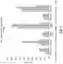 Fig. 04 - FORMULATIONS OF L-ORNITHINE PHENYLACETATE