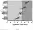 Fig. 02 - COMPOSITIONS AND METHODS TO POTENTIATE MUSCULOSKELETAL EFFECT OF ONE OR MORE ANABOLIC AMINO ACIDS ON BONE HEALTH