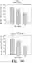 Fig. 05 - BENZOQUINONE DERIVATIVE E3330 IN COMBINATION WITH CHEMOTHERAPEUTIC AGENTS FOR THE TREATMENT OF CANCER AND ANGIOGENESIS
